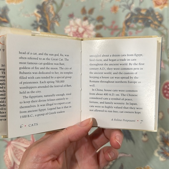 Cats A Feline Potpourri Book - Picture 13 of 13